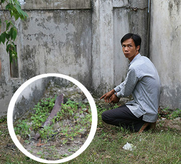 Mô tả ảnh.