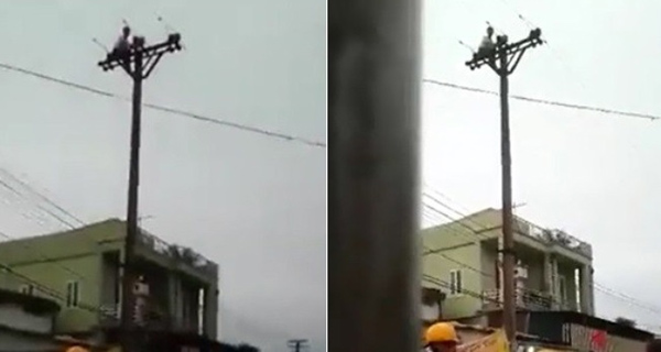 Mô tả ảnh.