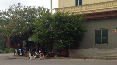 Mô tả ảnh.