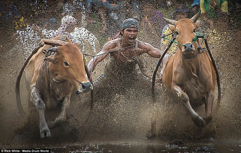 Mô tả ảnh.