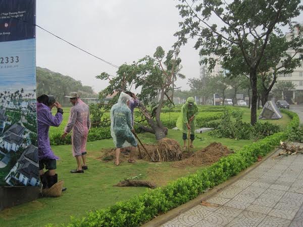 Mô tả ảnh.