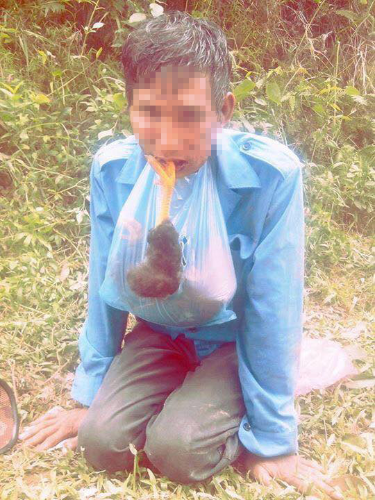 Mô tả ảnh.