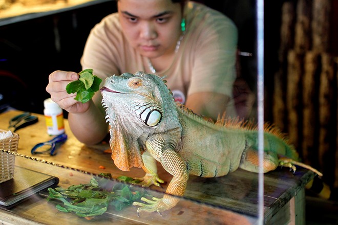 Mô tả ảnh.