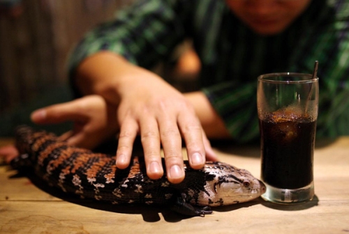 Mô tả ảnh.