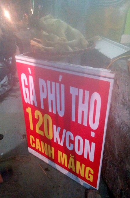ga-phunutoday-vn