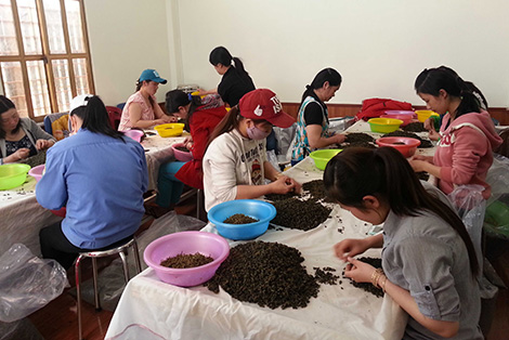 ha-linh-phunutoday-vn