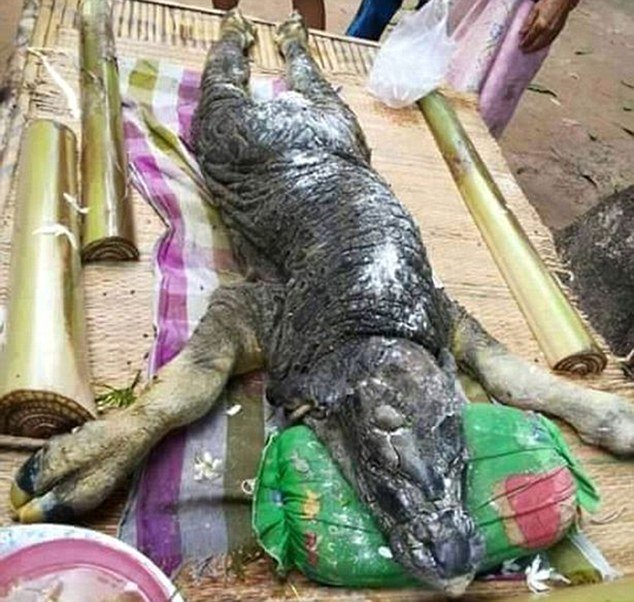 Mô tả ảnh.