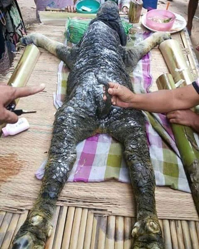 Mô tả ảnh.