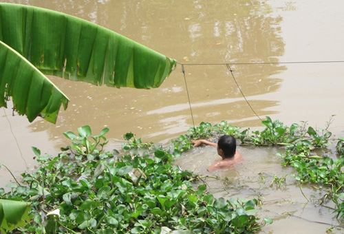 Mô tả ảnh.