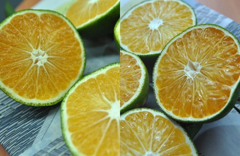 Phân biệt hoa quả Trung Quốc và Việt Nam 2