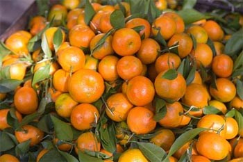 Phân biệt hoa quả Trung Quốc và Việt Nam 4