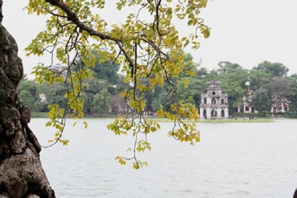 Mô tả ảnh.