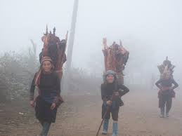 Mô tả ảnh.
