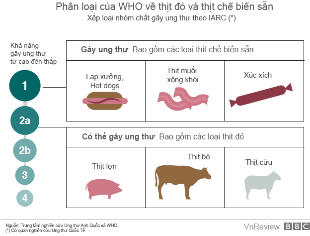 Mô tả ảnh.