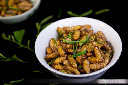 những sai lầm cực nguy hiểm cần tránh khi ăn nhộng tằm