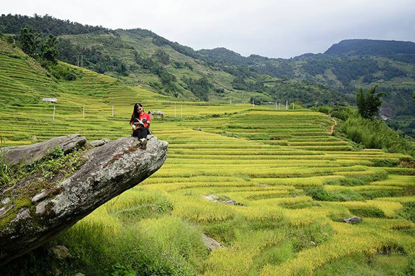 Mô tả ảnh.
