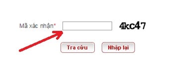 cách tra cứu mã số thuế cá nhân