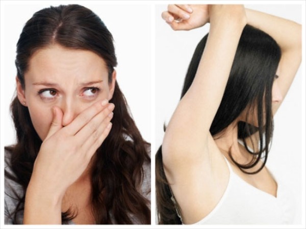 giảm mùi Sh88bet đăng ký miễn phí 
