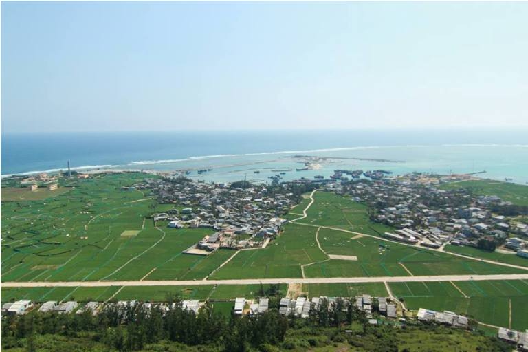 Du lịch đảo Lý Sơn 8