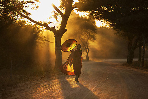 Những bức hình đẹp nhất Cuộc thi Ảnh 2015 của National Geographic 7