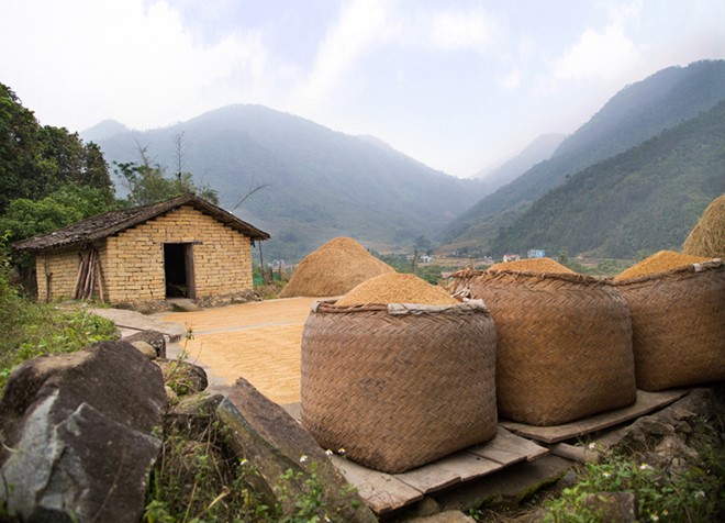 Mô tả ảnh.