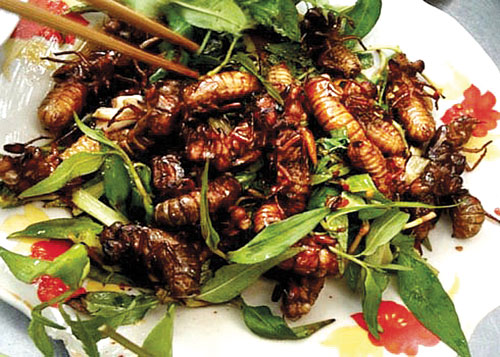 Mô tả ảnh.
