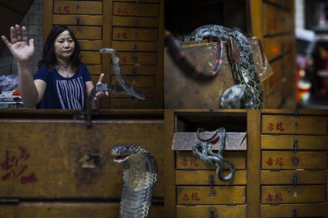 Mô tả ảnh.