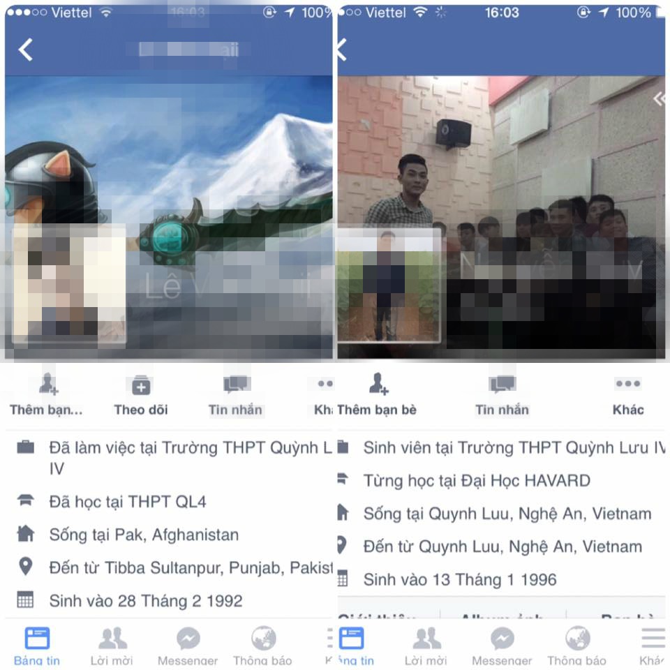 phá hoại hoa hướng dương