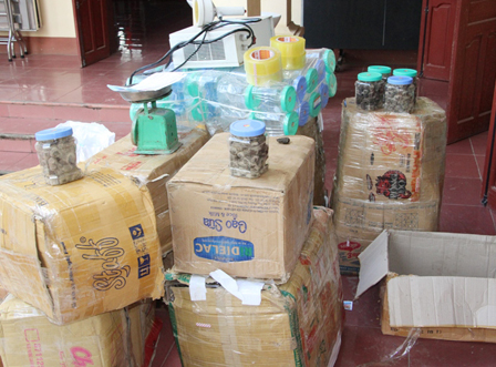 Triệt phá thành công cơ sở bán thuốc tăng cân siêu tốc tự chế