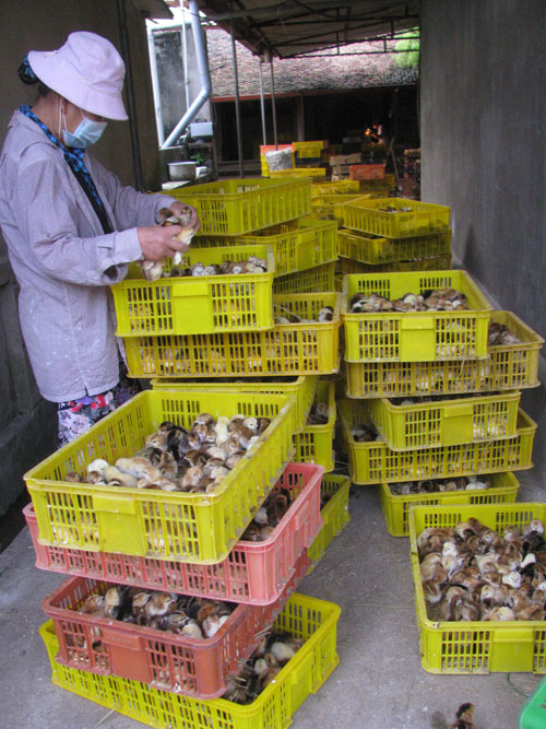 Công việc 