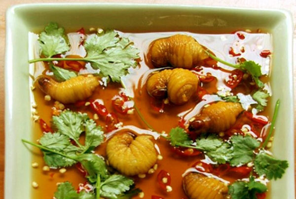 Mô tả ảnh.