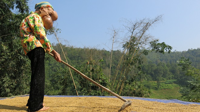 Bệnh lạ khiến những người đàn bà phải mang 