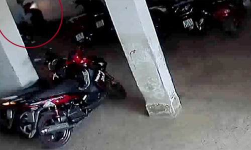Bảo vệ sập bẫy trộm xe SH bởi chiếc áo mưa 