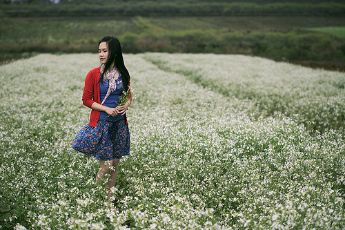 Mô tả ảnh.