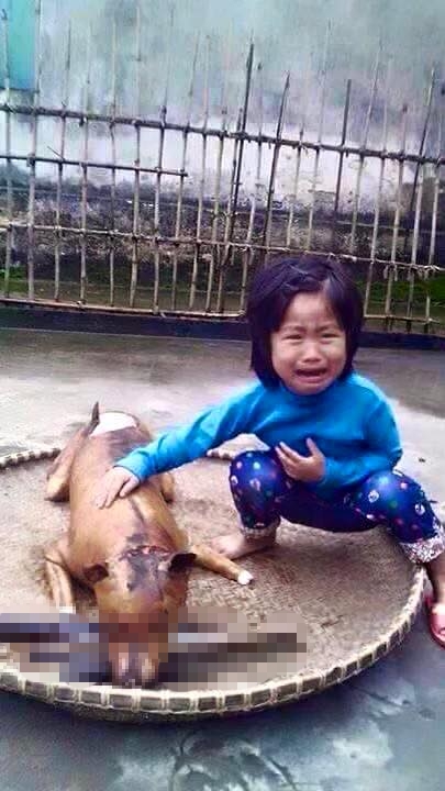 Mô tả ảnh.