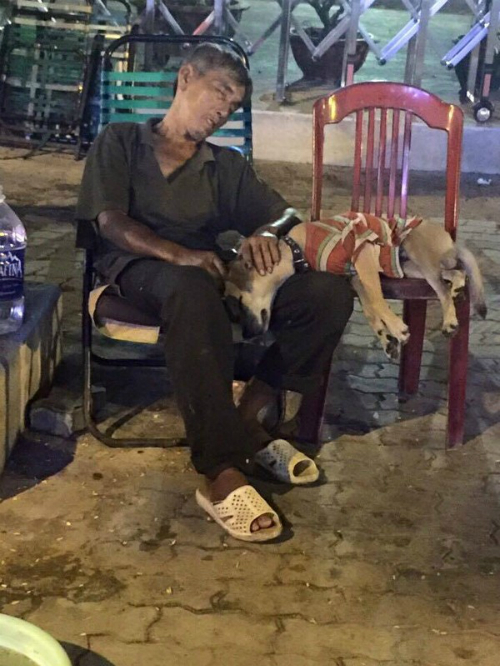 Mô tả ảnh.