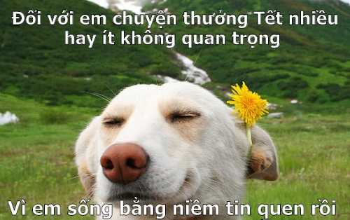 Bi hài chuyện thưởng Tết