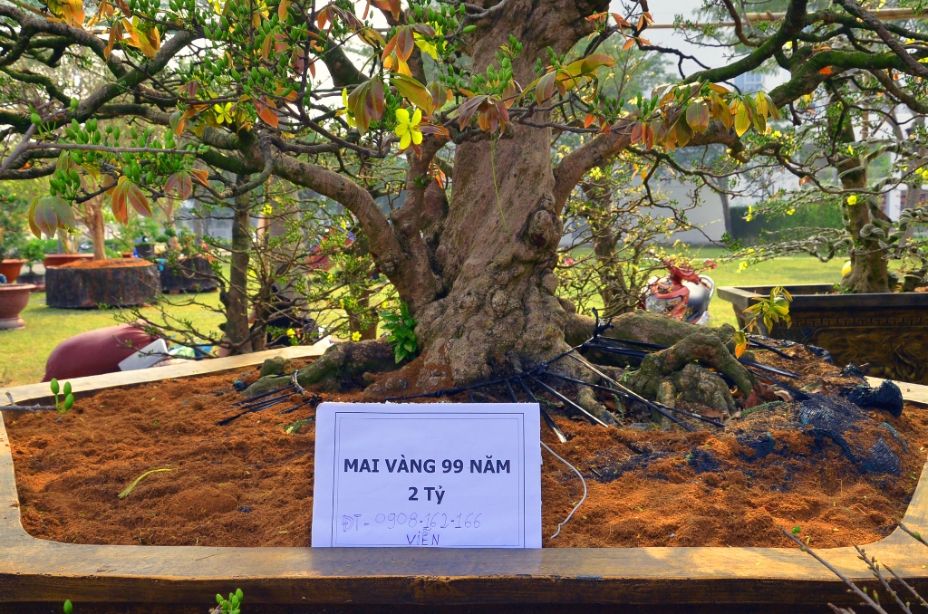 Mô tả ảnh.