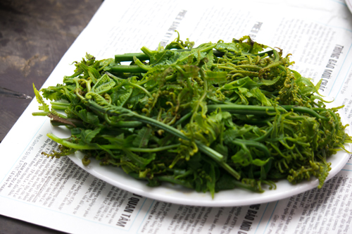 Mô tả ảnh.