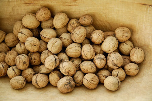 Săn đặc sản hạt rừng ăn Tết