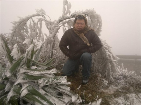 Mô tả ảnh.