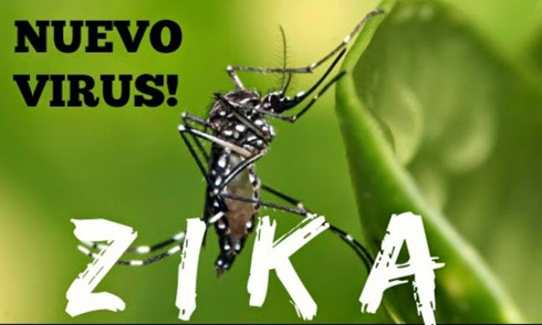Virus Zika -