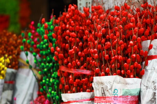 Mô tả ảnh.
