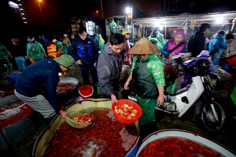 Chợ cá chép nhộn nhịp, người dân rủ nhau đi tiễn Táo quân về trời