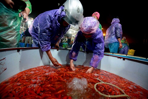 Chợ cá chép nhộn nhịp, người dân rủ nhau đi tiễn Táo quân về trời