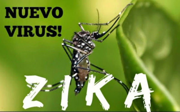 Công bố số điện thoại tư vấn về dịch bệnh do vi rút Zika 