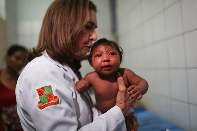 Thông tin mới nhất về dịch bệnh từ virus Zika