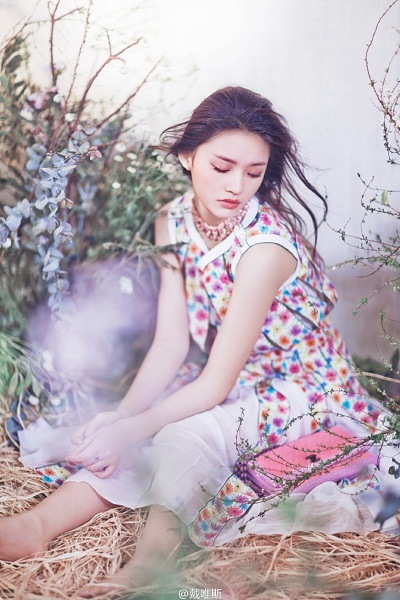 Vẻ đẹp mong manh đến ngẩn ngơ của