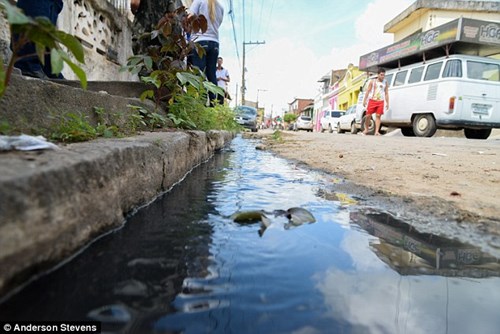 Những hình ảnh kinh hoàng giữa tâm dịch Zika gây teo não 