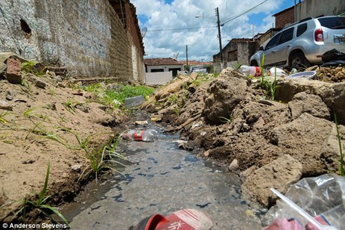 Những hình ảnh kinh hoàng giữa tâm dịch Zika gây teo não 